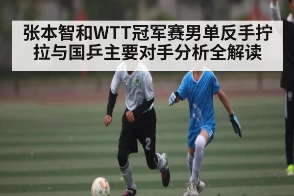 张本智和WTT冠军赛男单反手拧拉与国乒主要对手分析全解读